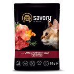 Savory Lamb & Pumpkin in Jelly for Kitten Консервований корм з ягнятком для кошенят