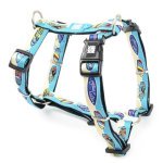 Max & Molly H-Harness Aloha Шлея, малюнок "Алоха"
