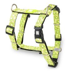 Max & Molly H-Harness Kiwi Шлея, малюнок "Ківі"