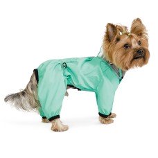 Pet Fashion Дощовик для собак «Космос» XS-2 (м'ята) XS-2